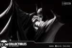 Batman Black & White Limited Edition